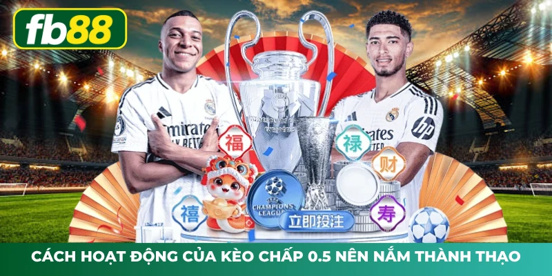 Cách hoạt động của kèo chấp 0.5 nên nắm thành thạo