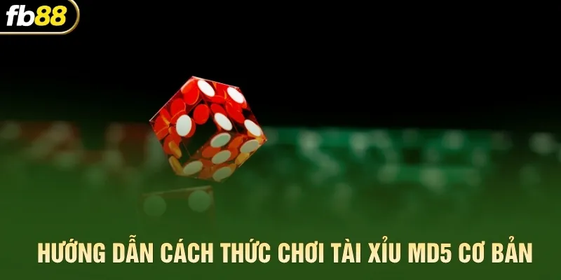 Hướng dẫn cách thức chơi Tài Xỉu MD5 cơ bản