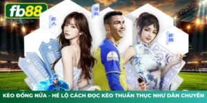 Kèo Đồng Nửa - Hé Lộ Cách Đọc Kèo Thuần Thục Như Dân Chuyên