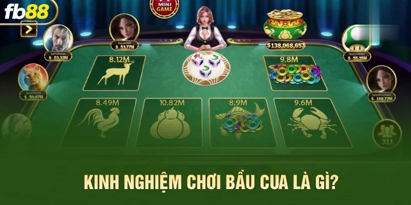 Kinh nghiệm chơi bầu cua là gì?
