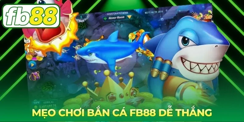 Kinh nghiệm giúp nâng cao hiệu quả khi tham gia bắn cá FB88