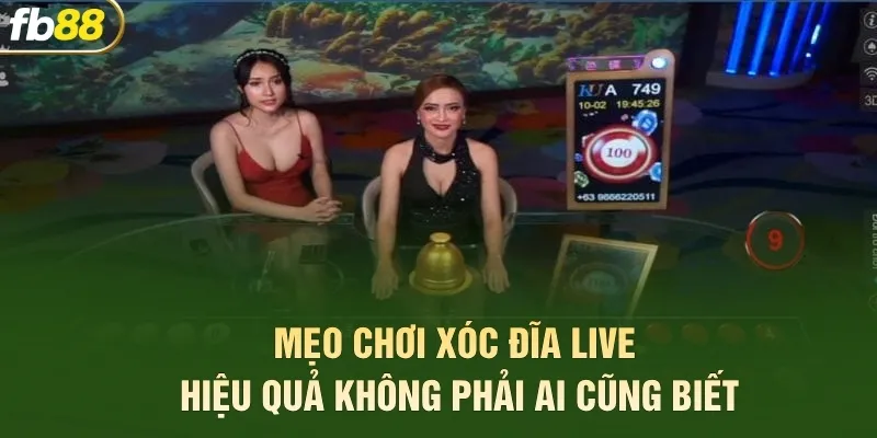 Mẹo chơi xóc đĩa live hiệu quả