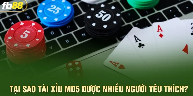 Tại sao Tài Xỉu MD5 được nhiều người yêu thích?