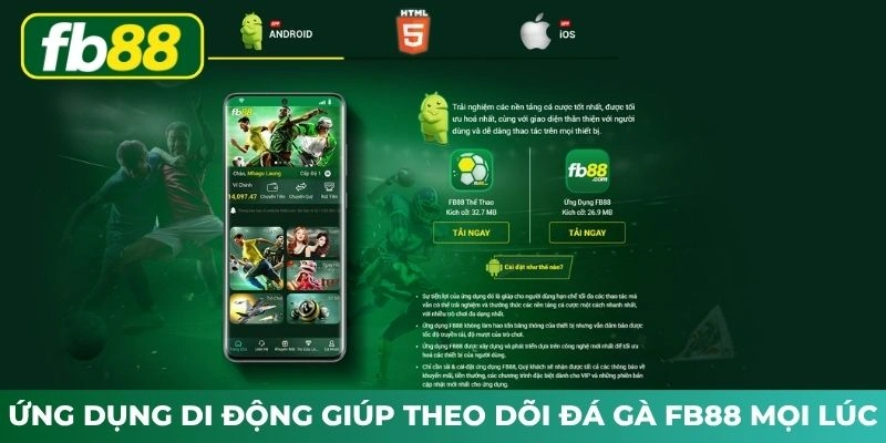 Ứng dụng di động giúp theo dõi đá gà FB88 mọi lúc